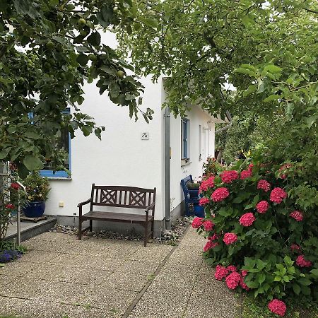 Ferienwohnung Mit Garten Wieck Exteriör bild