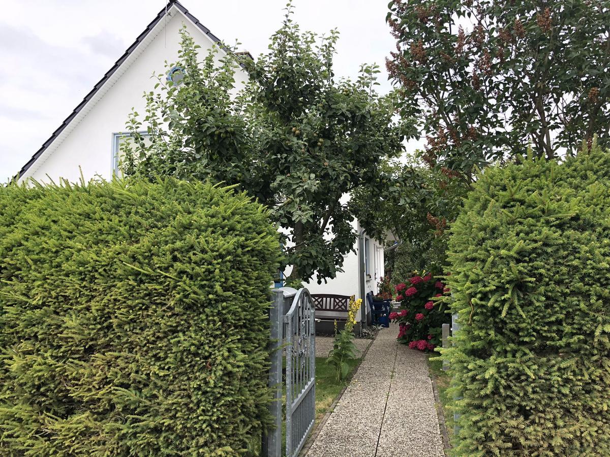 Ferienwohnung Mit Garten Wieck Exteriör bild